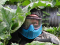 Camouflage paintball