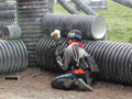 Paintball, a couvert
