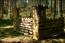 terrain foret urbain